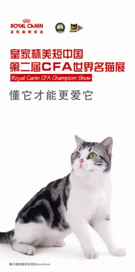 ʼұйڶCFAèչĻ.jpg